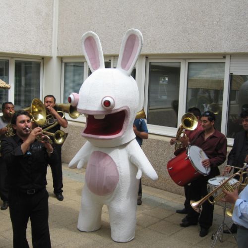 Lapin crétin en représentation