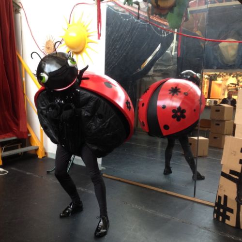 Coccinelle détal corps